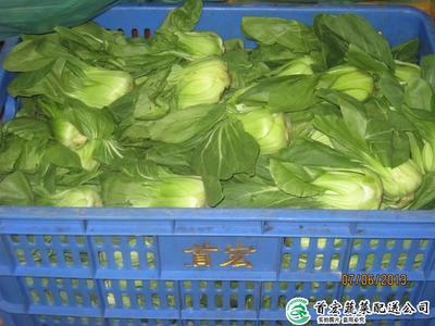 食材配送中的装卸搬运 效率与安全的关键环节