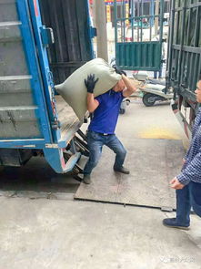 高州市环华装卸服务部 塑造搬运装卸行业的专业典范